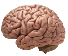 What's on my mind?